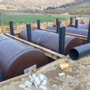 진도농협 의신지점 주유소 이미지