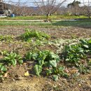 매호농장 이미지