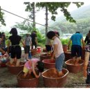 봉양중학교 이미지