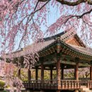 수양민박 - 여주시 매양로 152-1 | 거제 썸머패스 바다놀이터 예약, 반값 3만4천원 선착순