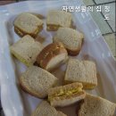 자연생활의집청도 네이버블로그