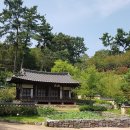 '언쉬미'-언덕위에쉼터이야기 | &lt;유기방가옥, 전통 한옥과 수선화 언덕&gt;의 조화