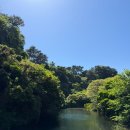천지연크리스탈호텔 | 제주도 서귀포 가볼만한곳 추천｜천지연폭포 올레시장 윈스토리호텔 후기
