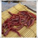 해물나라낙지전문점 이미지