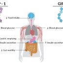 다대안심내과의원 | 부산 다대포 위고비 처방 병원 [다대안심내과의원]