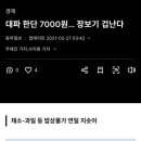 문재인때 대파한단 7000원인데? 이미지