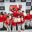 품 태권도 이미지