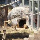 우치농장 이미지