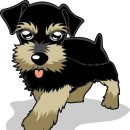 사랑종합동물병원 이미지