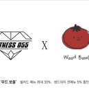 피트니스공 이미지