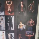 스프린트 PT 이미지