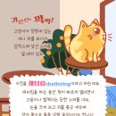 우신동물병원 이미지