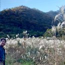 달마스테이 이미지