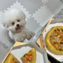 핏어펫 | [대구 칠곡]애견 수제간식 댕피자 원데이 클래스 후기 :: 핏어펫 ✨