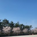 함양산삼골휴게소(광주방향) 이미지