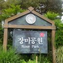 용탄 | 초록바람 ~ 장미향기 ‘곡성(谷城)’에 물들다