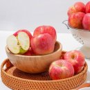 (주)더조은 이미지