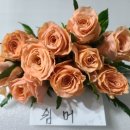 전혜숙농장 네이버블로그