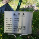 우계농원