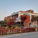 중앙탑중학교 앞 이미지