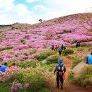 향우목장 네이버블로그