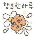 마이앤써이즈쿠키 이미지