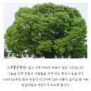 옥길버들초등학교4 | <금융교육> 옥길버들초등학교 용돈마법사 장정륜강사 출강후기