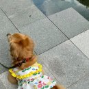 밀크앤돌