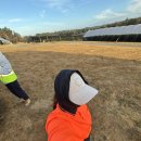 서리농장 | 호주 타즈매니아 코스타 블루베리 팜 리뷰 | 세컨 따기 가장 좋은 농장