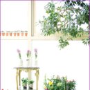 플라워&홈가드닝 이미지