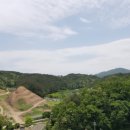 플로센트