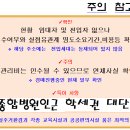 삼정그린코아더베스트 이미지