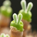 빅토리 게임장 이미지