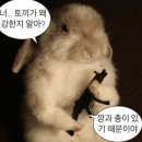 리숨아트 | 6월 3일 ~ 9일.zip