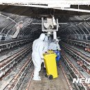 대내농장 이미지