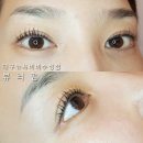 활짝핀 속눈썹 이미지