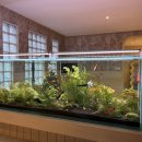 슬로우 코티지 이미지