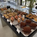 그래티파이 커피 이미지