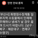 부산 수돗물 '곰팡이 냄새' 사태, 원인은 남조류 이미지