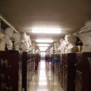 선화예술고등학교 이미지