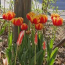 서소문파출소 이미지