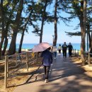 등명해변(철길옆) 이미지