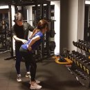 테라피트 이미지