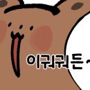 카페벨르 이미지