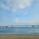 [후쿠오카 여행] 2023년 일본여행(1)