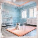 이천종합복지타운 | 이천 웰시코기분양 현실 후기와 지역별 접근성