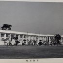 서호북초등학교 이미지