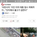 '마린시티' 지진 이어 태풍 침수 피해까지…"단지에서 물고기 잡힌다" 이미지