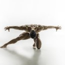 홍프로짐 이미지