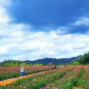 문화관광단지(서) 이미지